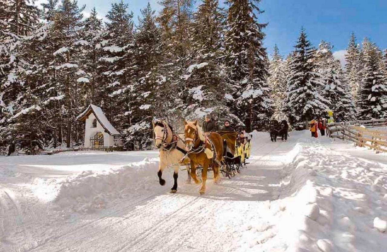 Appartmenthaus Birkenwald Seefeld in Tirol Exterior foto